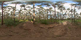 Aversis HDRI - click for more info