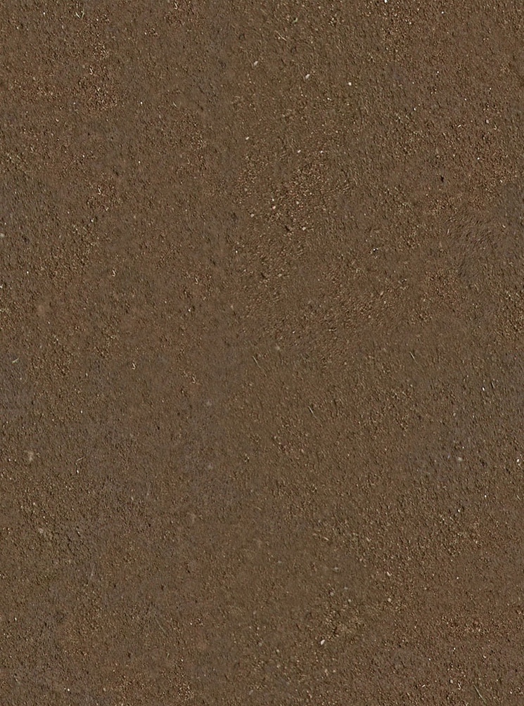 Ground Dirt Texture - Right Click to Save