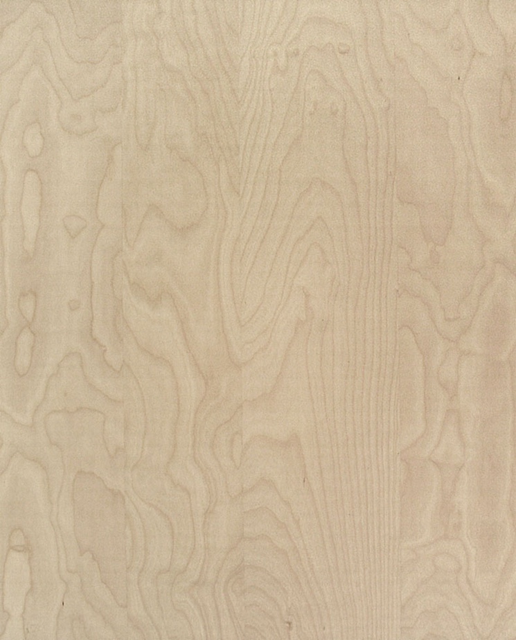 Ikea Birch Texture - Right Click to Save